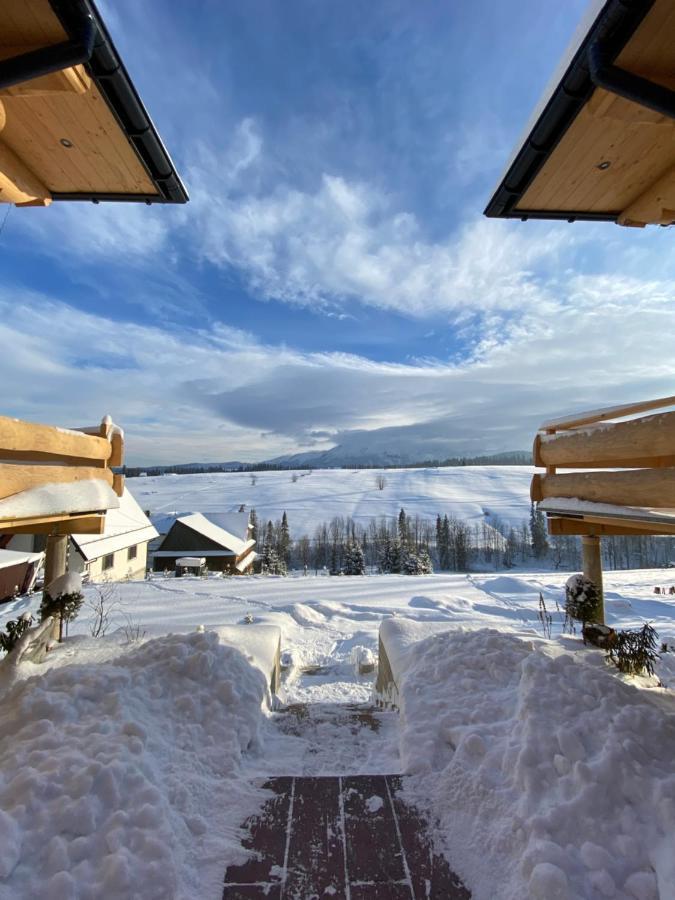 Villa Domki Goralskie Dwa Misie à Bukowina Tatrzańska Extérieur photo